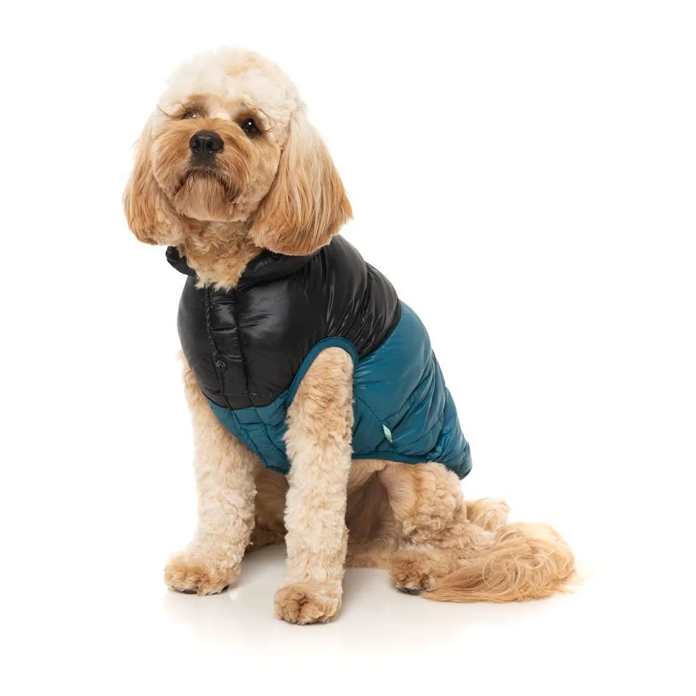 FuzzYard South Harlem Dog Jacket